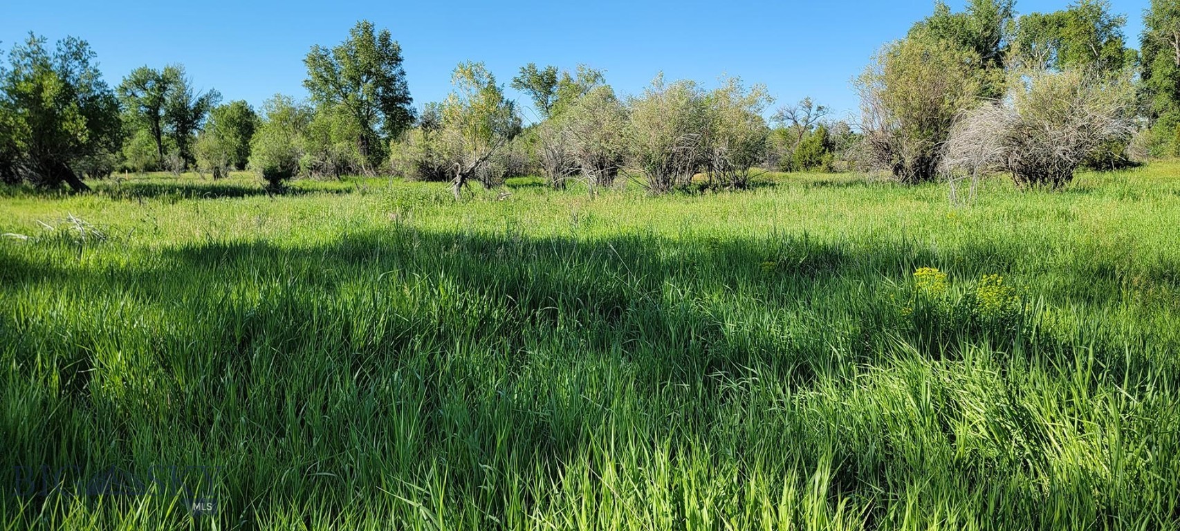 5211 Old Yellowstone Trail Property Photo 4