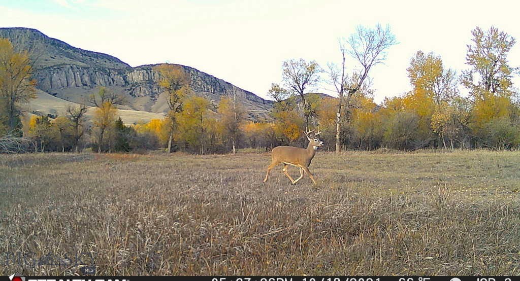 5211 Old Yellowstone Trail Property Photo 34