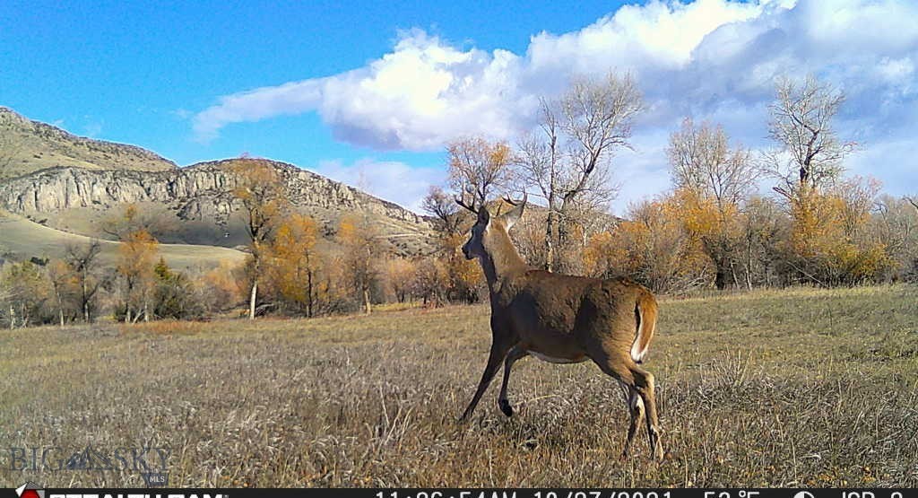 5211 Old Yellowstone Trail Property Photo 35