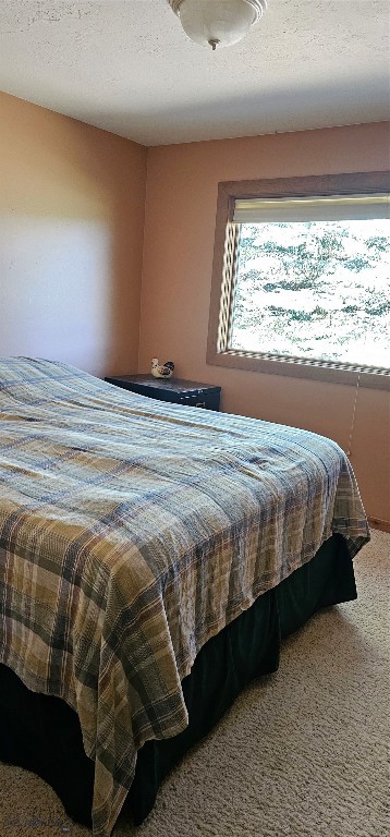 13 Shefield Drive Property Photo 29