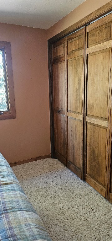 13 Shefield Drive Property Photo 30