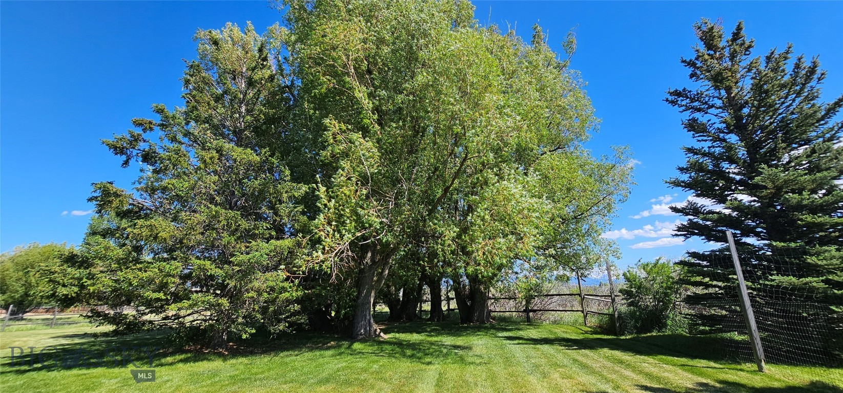 13 Shefield Drive Property Photo 36