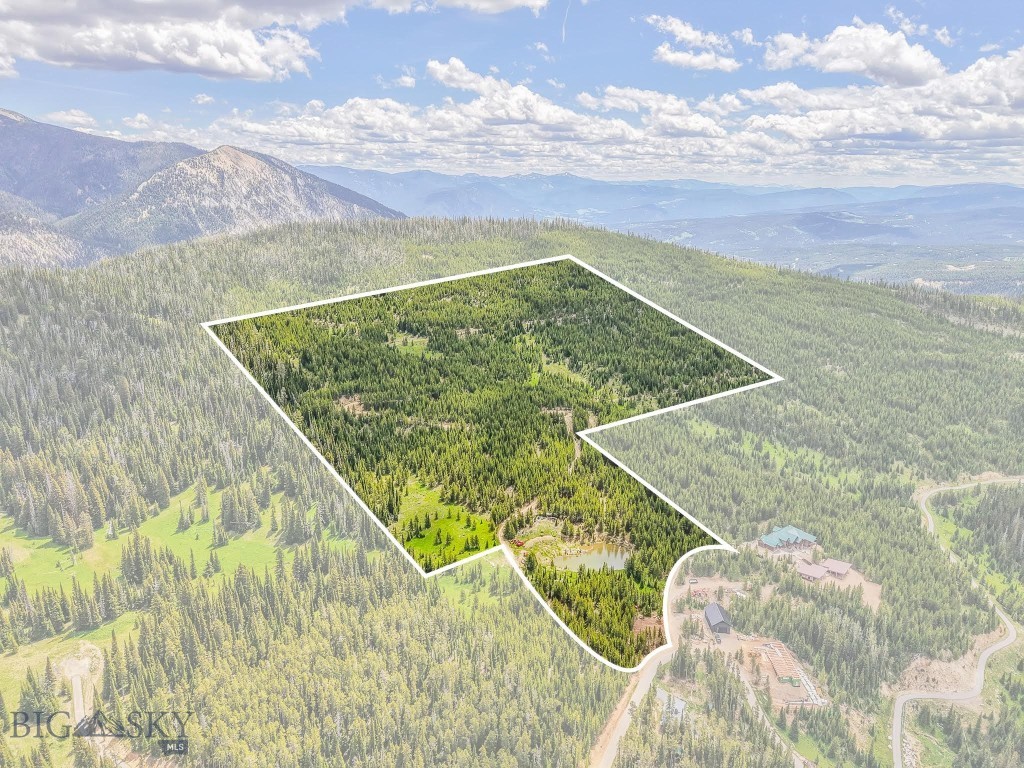 Nhn Beehive Basin Road Property Photo 2