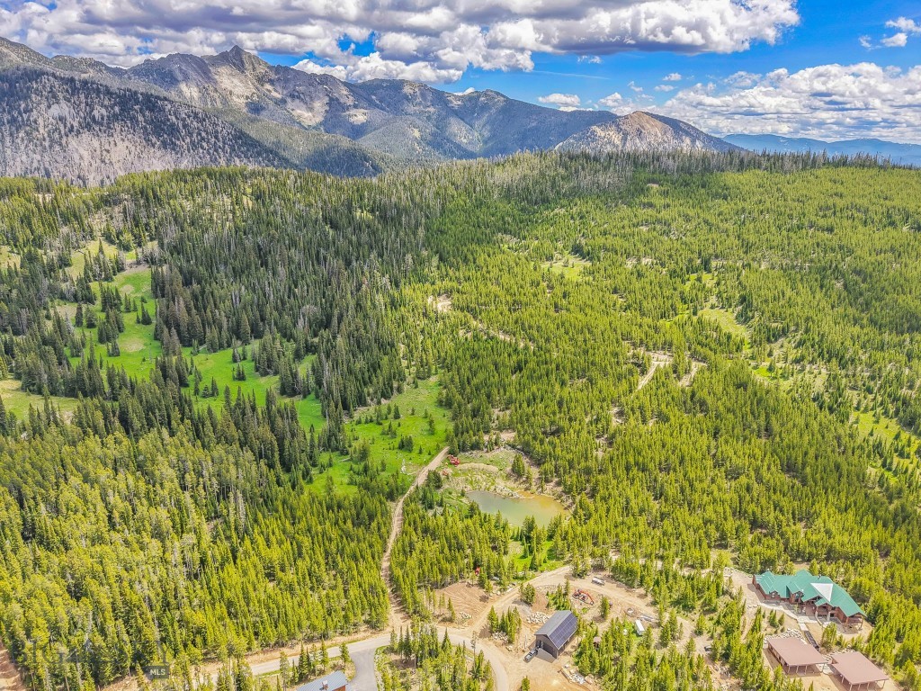 Nhn Beehive Basin Road Property Photo 3