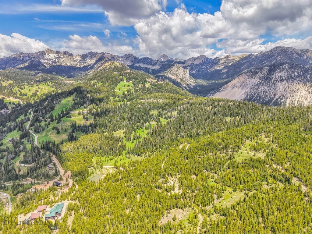 Nhn Beehive Basin Road Property Photo 8
