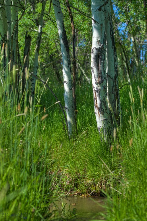 13830 (tract B) Cottonwood Road Property Photo 3