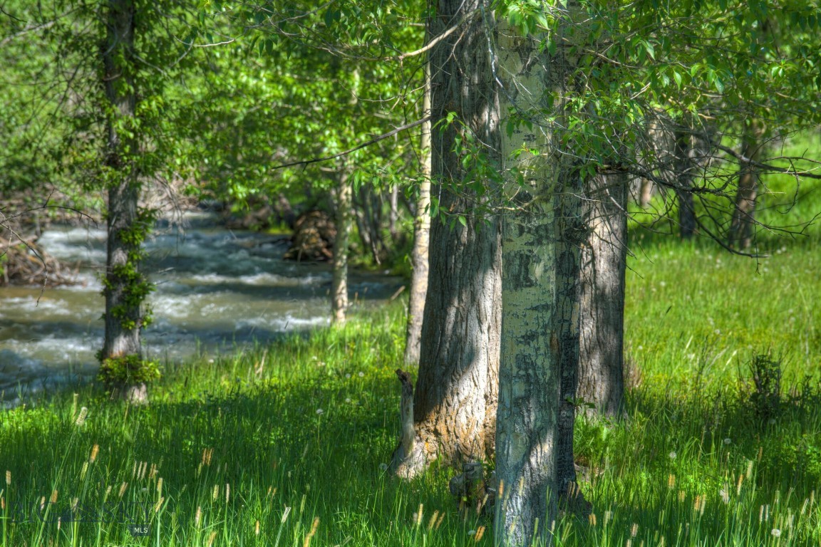 13830 (tract B) Cottonwood Road Property Photo 4