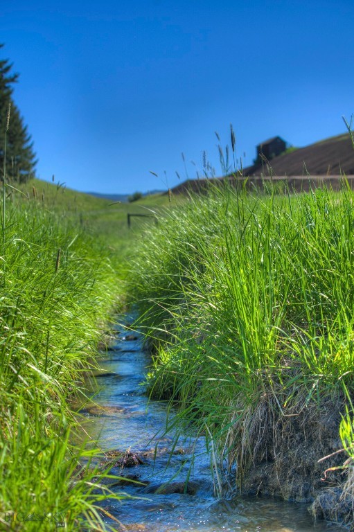 13830 (tract B) Cottonwood Road Property Photo 5