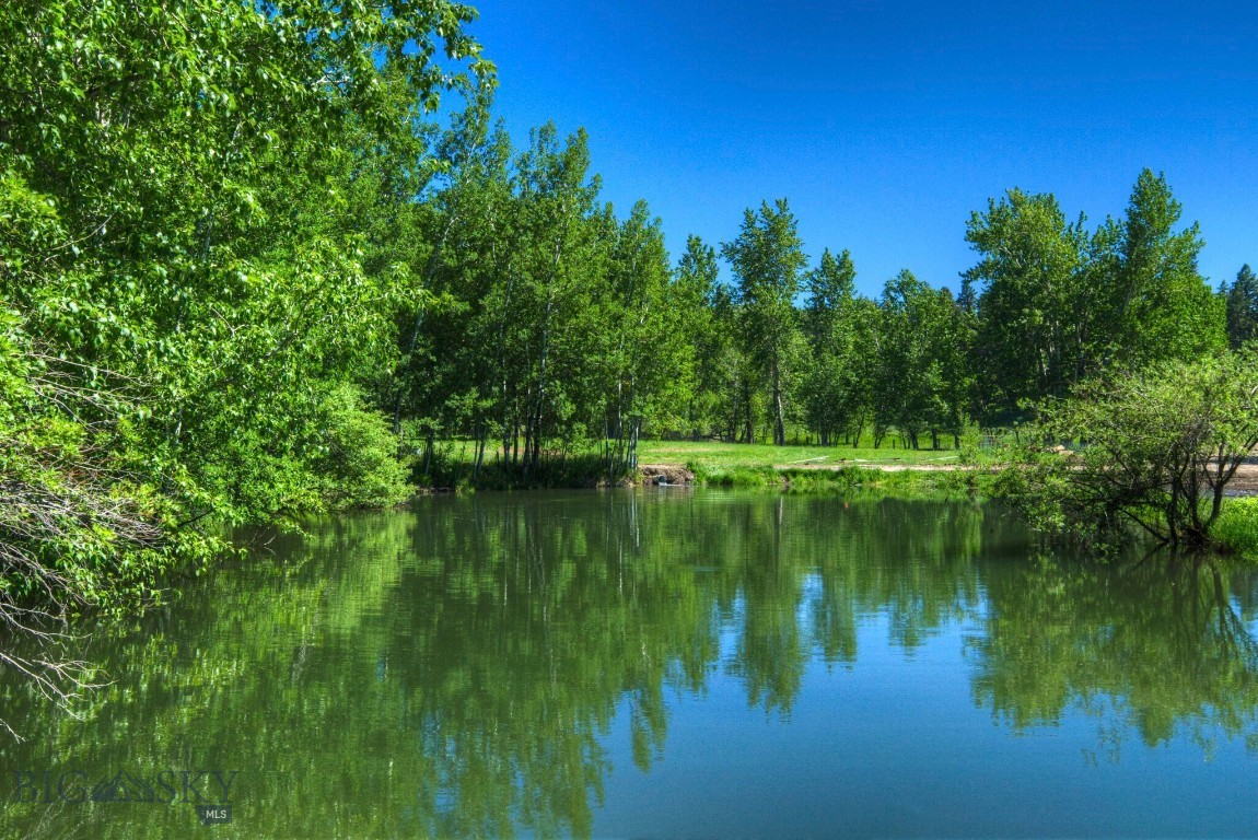 13830 (tract B) Cottonwood Road Property Photo 6