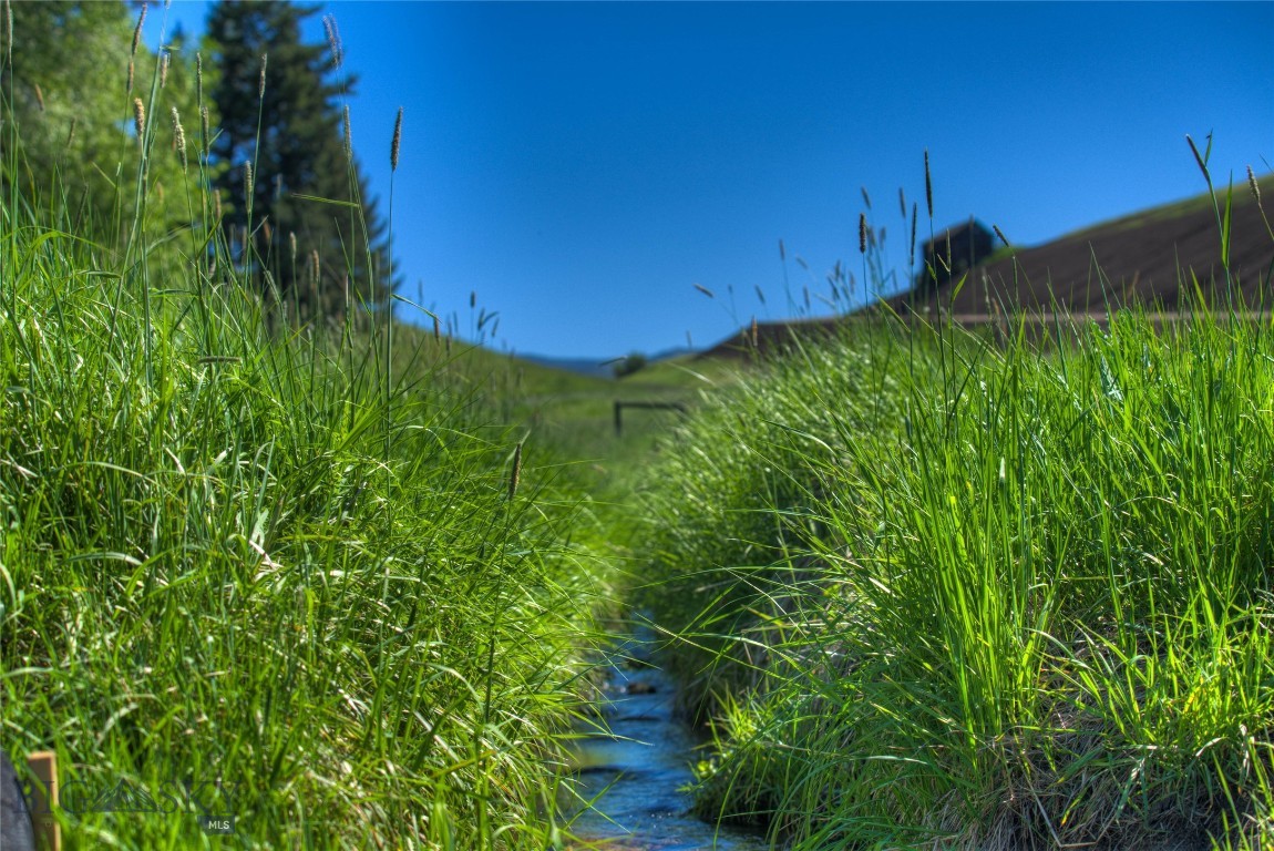 13830 (tract B) Cottonwood Road Property Photo 15