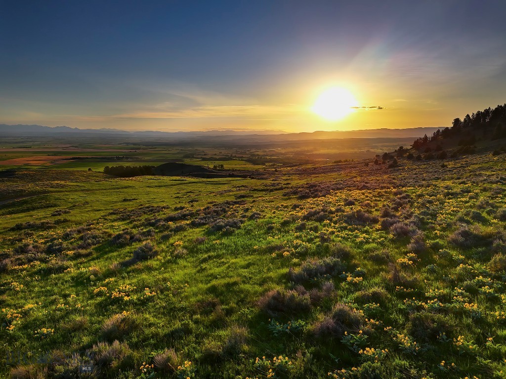 Four Bar Ranches Corbly Gulch Property Photo