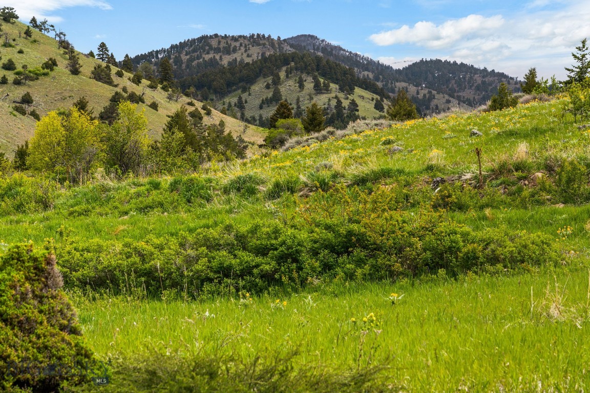 Four Bar Ranches Corbly Gulch Property Photo 8