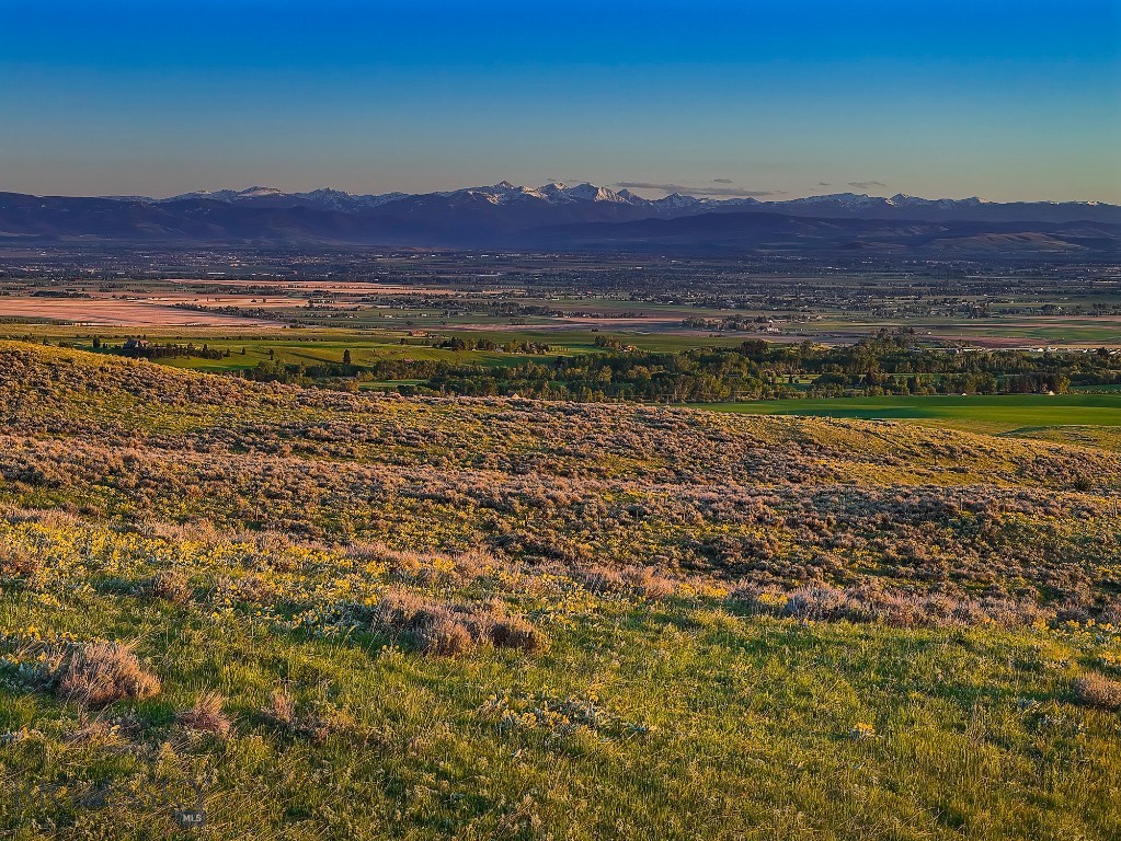 Four Bar Ranches Corbly Gulch Property Photo 12
