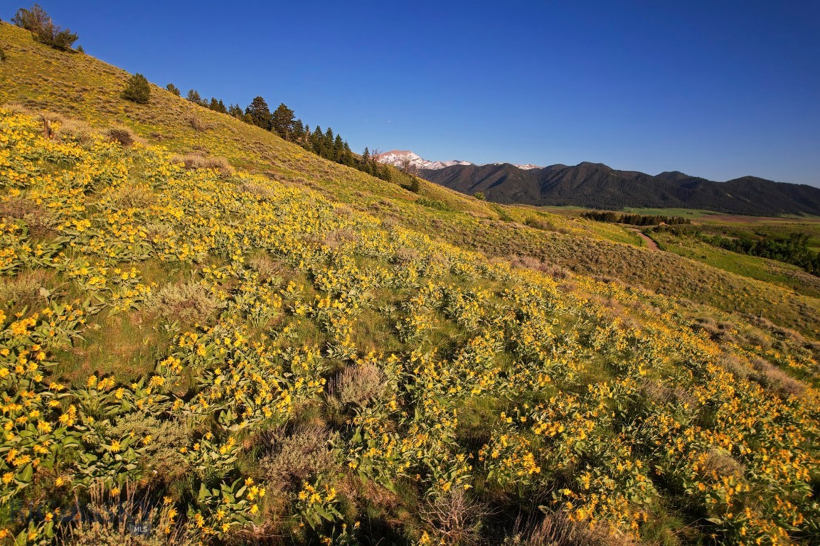Four Bar Ranches Corbly Gulch Property Photo 18