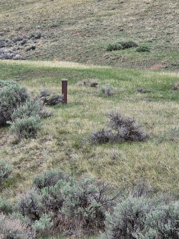 710 Gamblers Run Property Photo 3