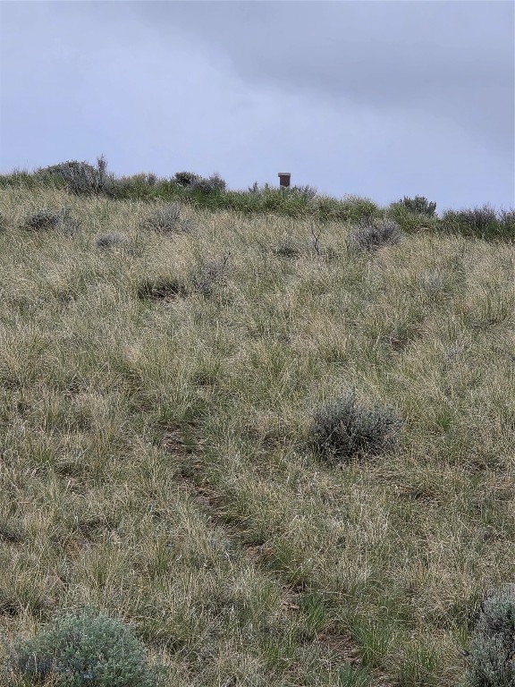 710 Gamblers Run Property Photo 7