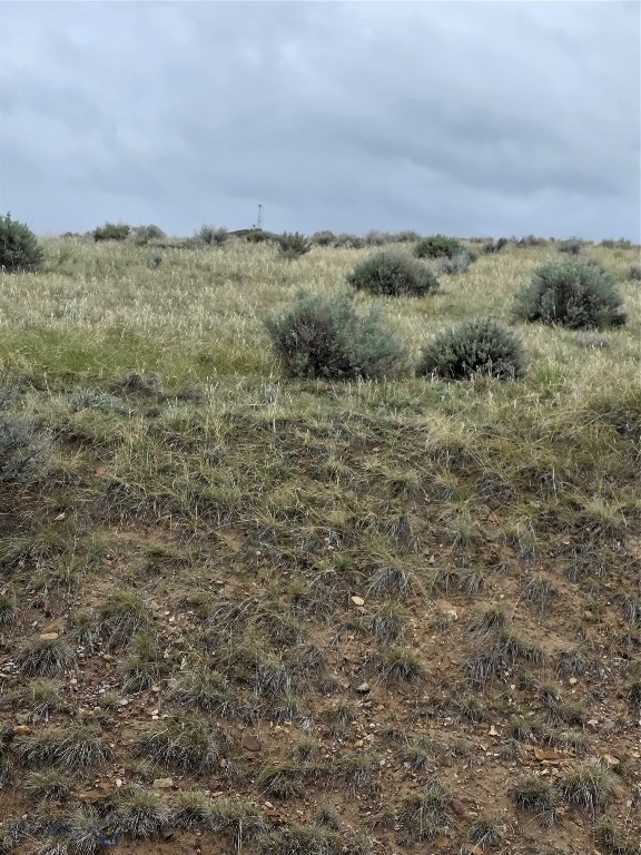 710 Gamblers Run Property Photo 8
