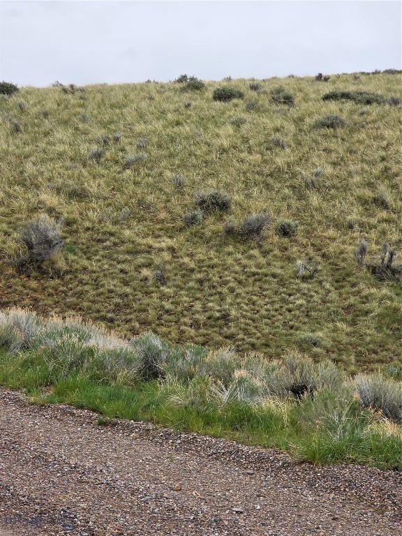 710 Gamblers Run Property Photo 9