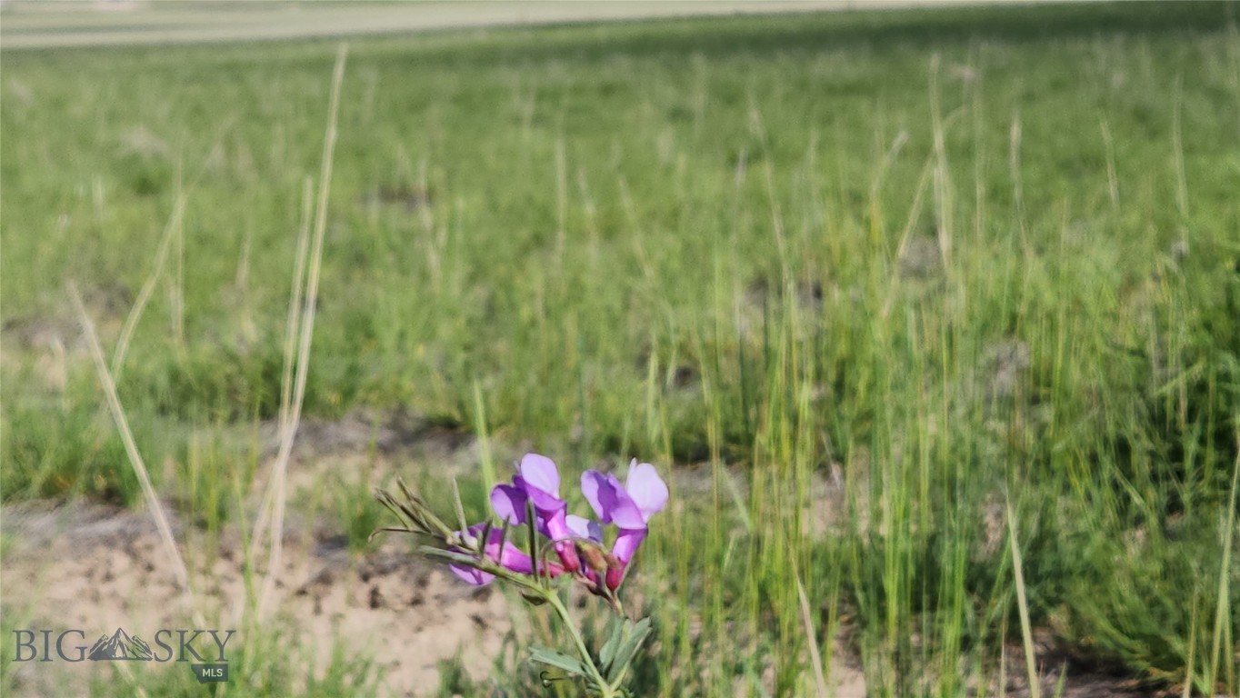 Tbd Lewis Drive Property Photo 8