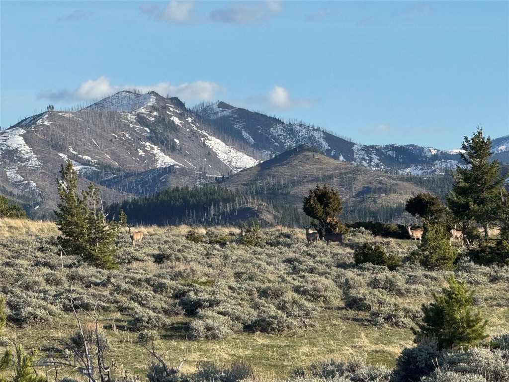 Tbd Tbd Property Photo 3