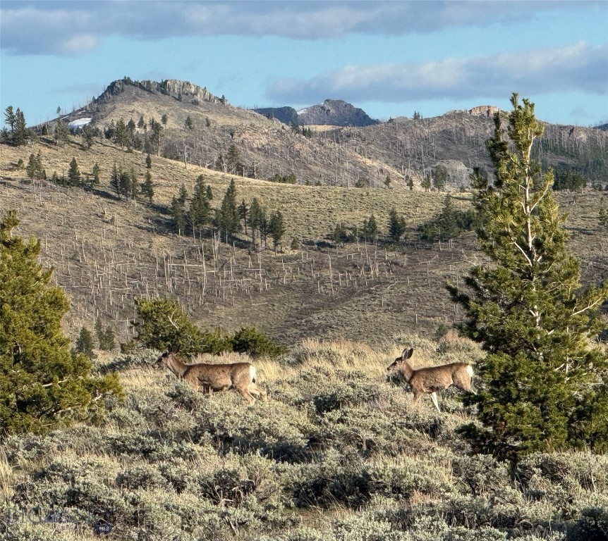 Tbd Tbd Property Photo 4
