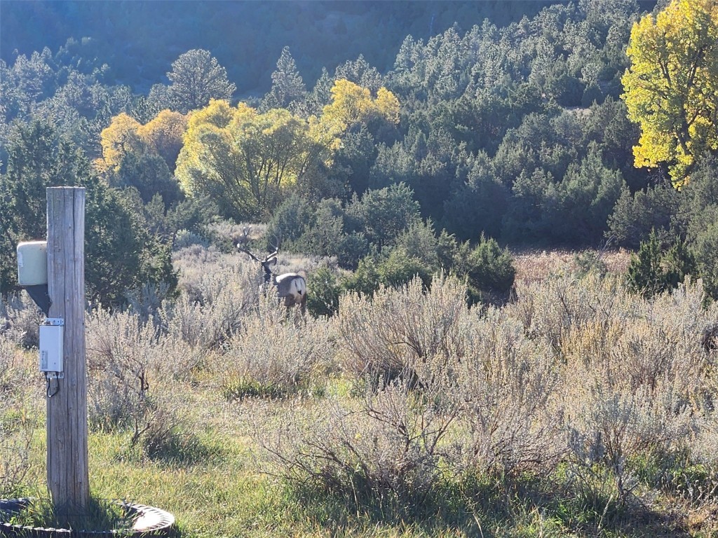 Tbd Tbd Property Photo 15