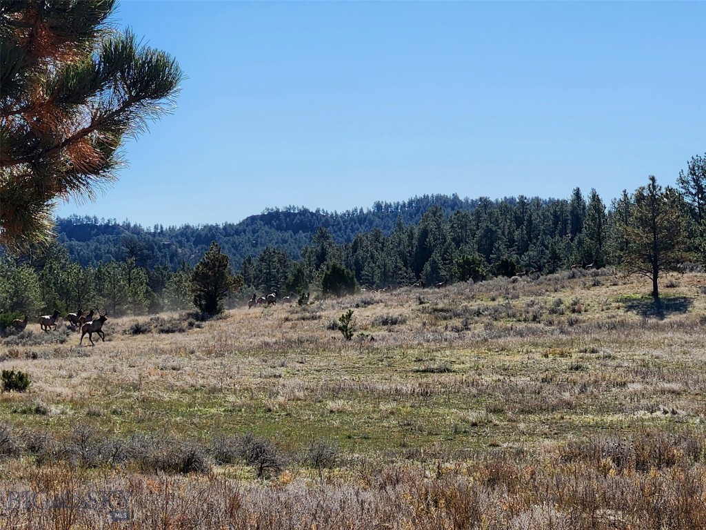 Tbd Tbd Property Photo 16