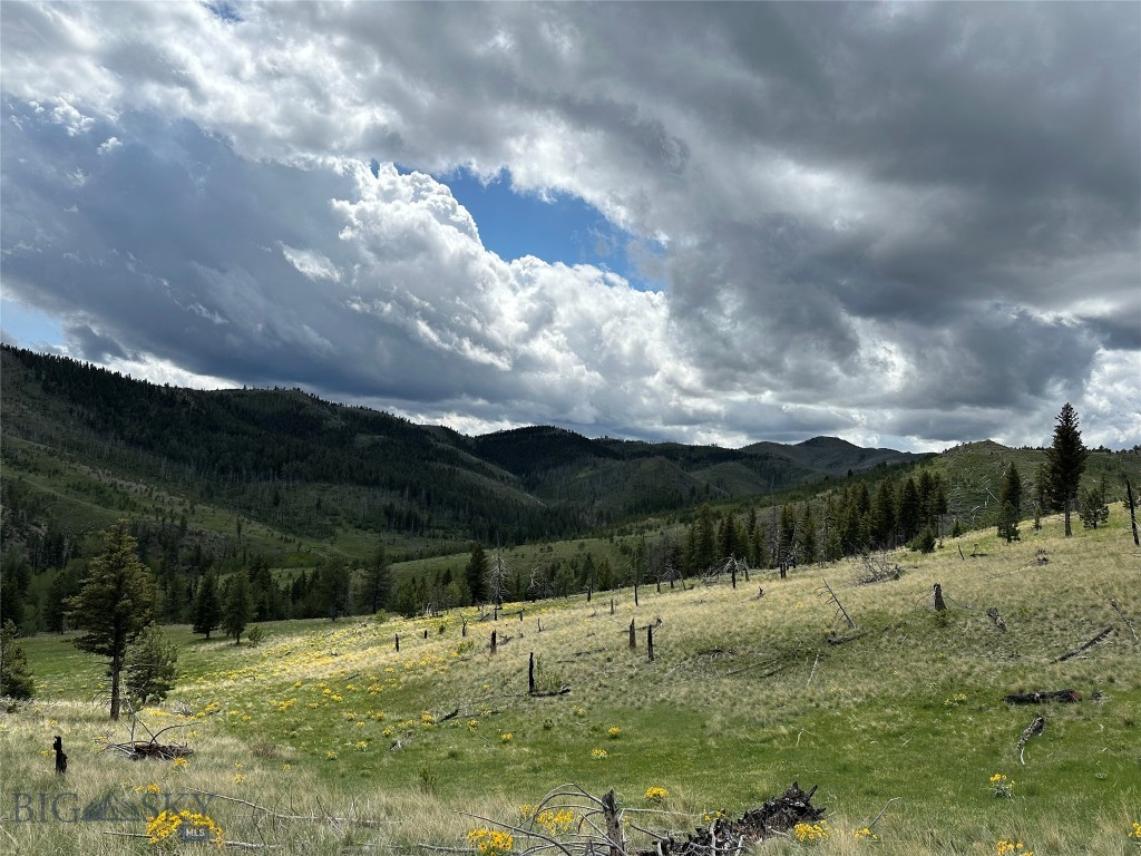 Tbd Tbd Property Photo 18