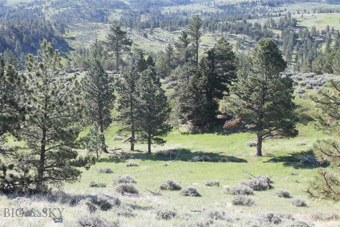 Tbd Tbd Property Photo 30