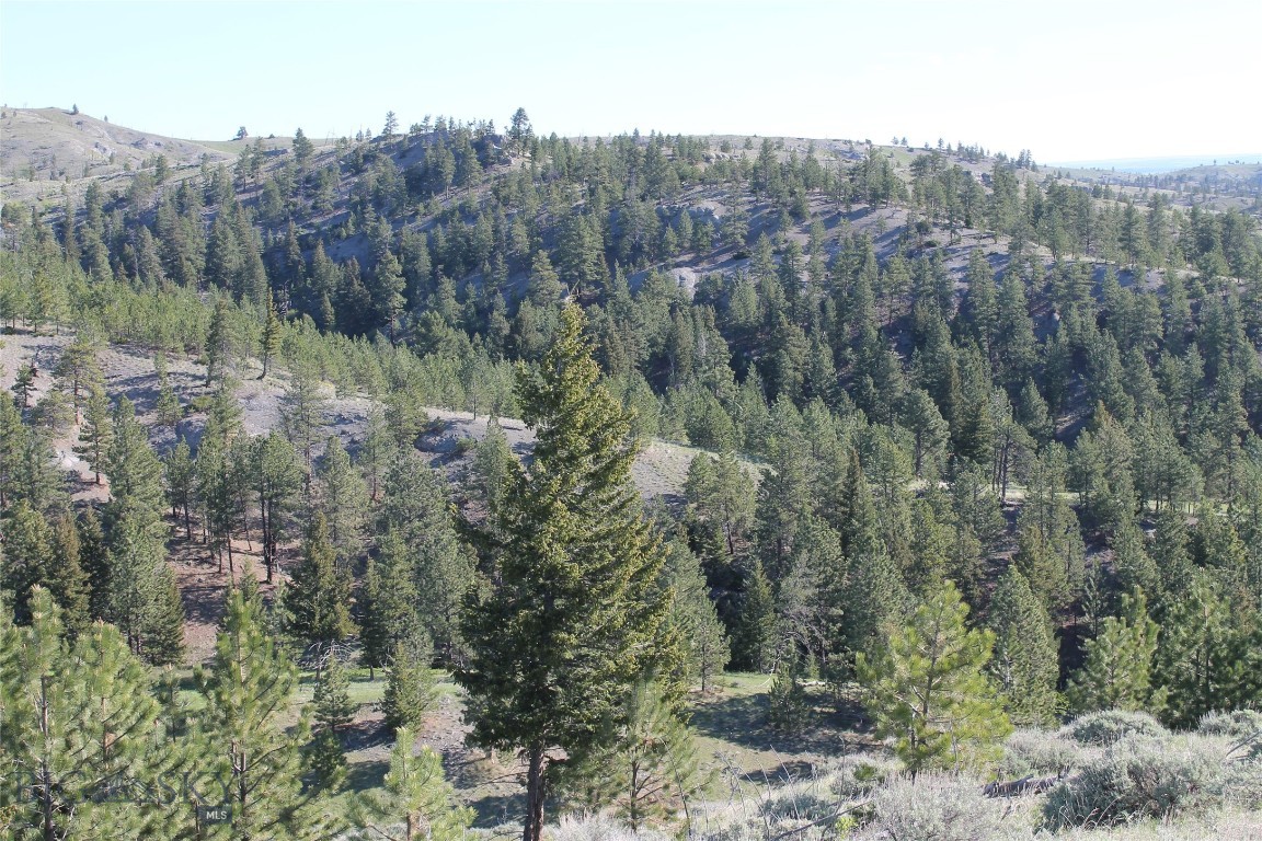Tbd Tbd Property Photo 31
