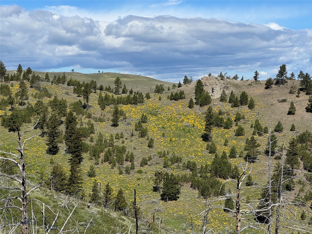 Tbd Tbd Property Photo 33