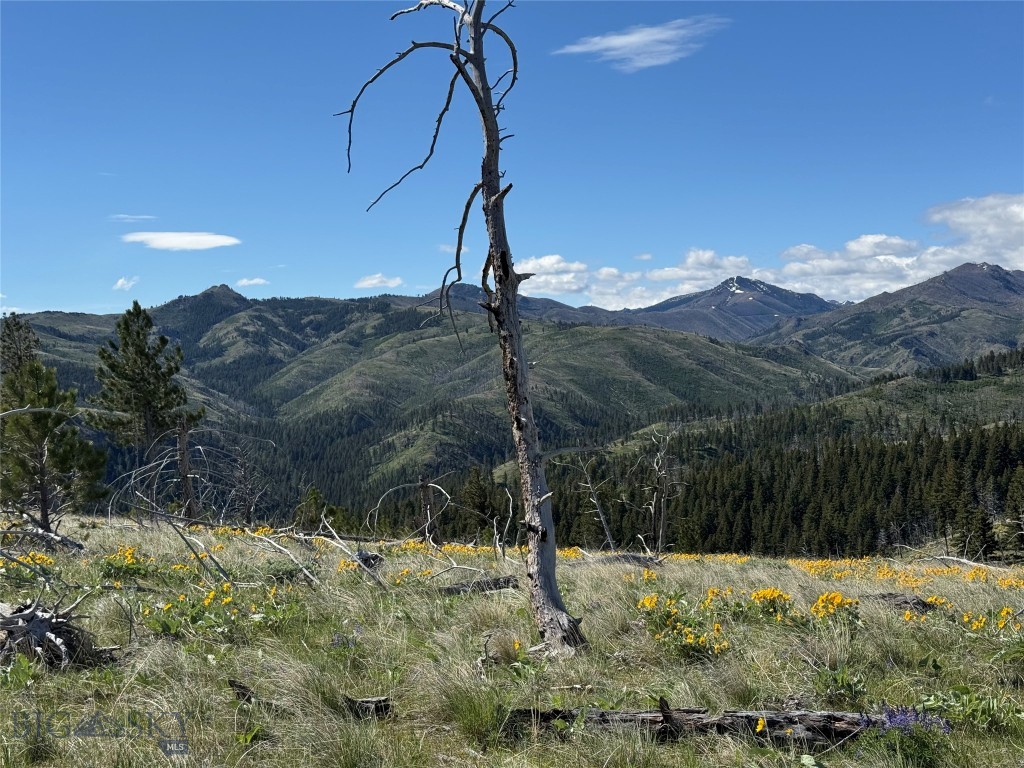 Tbd Tbd Property Photo 35