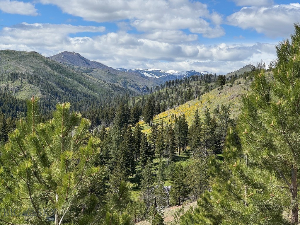 Tbd Tbd Property Photo 37