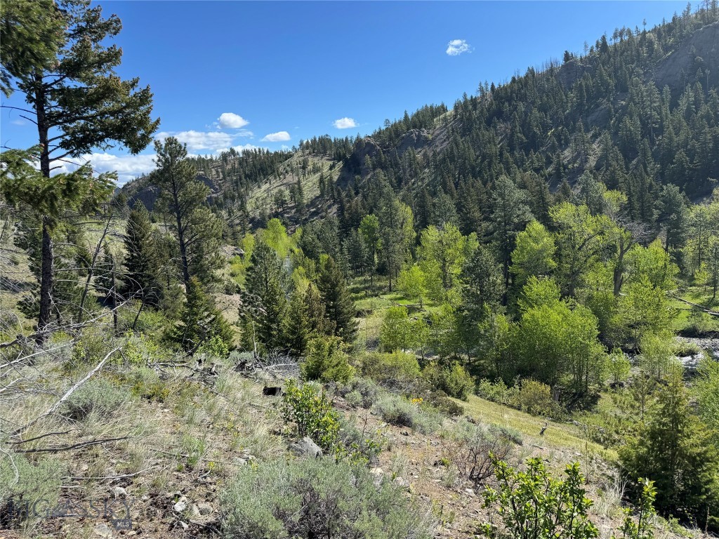 Tbd Tbd Property Photo 39