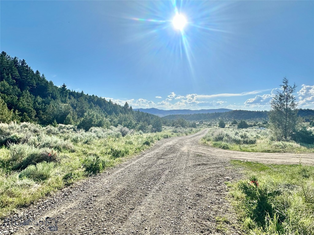 Lot 290 TBD Broken Creek Road Property Photo 1