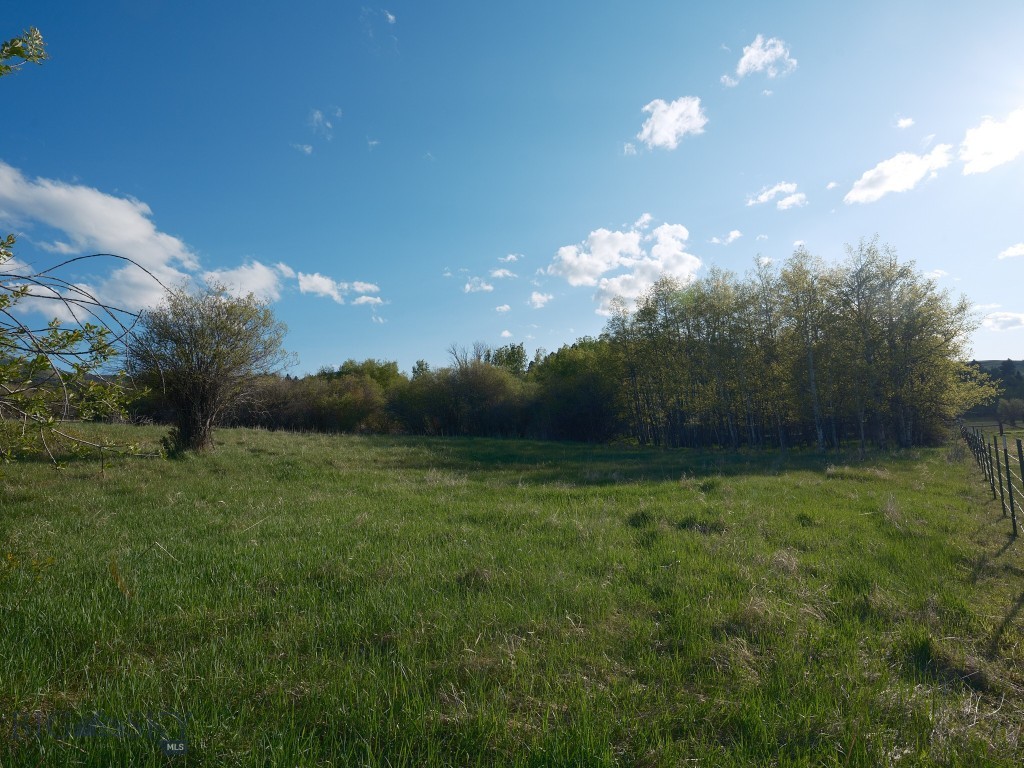2178 Little Bear Road Property Photo 13