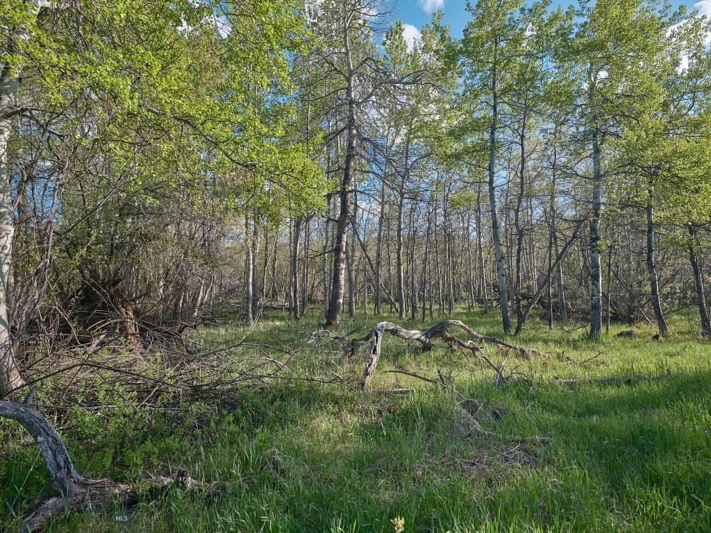 2178 Little Bear Road Property Photo 16