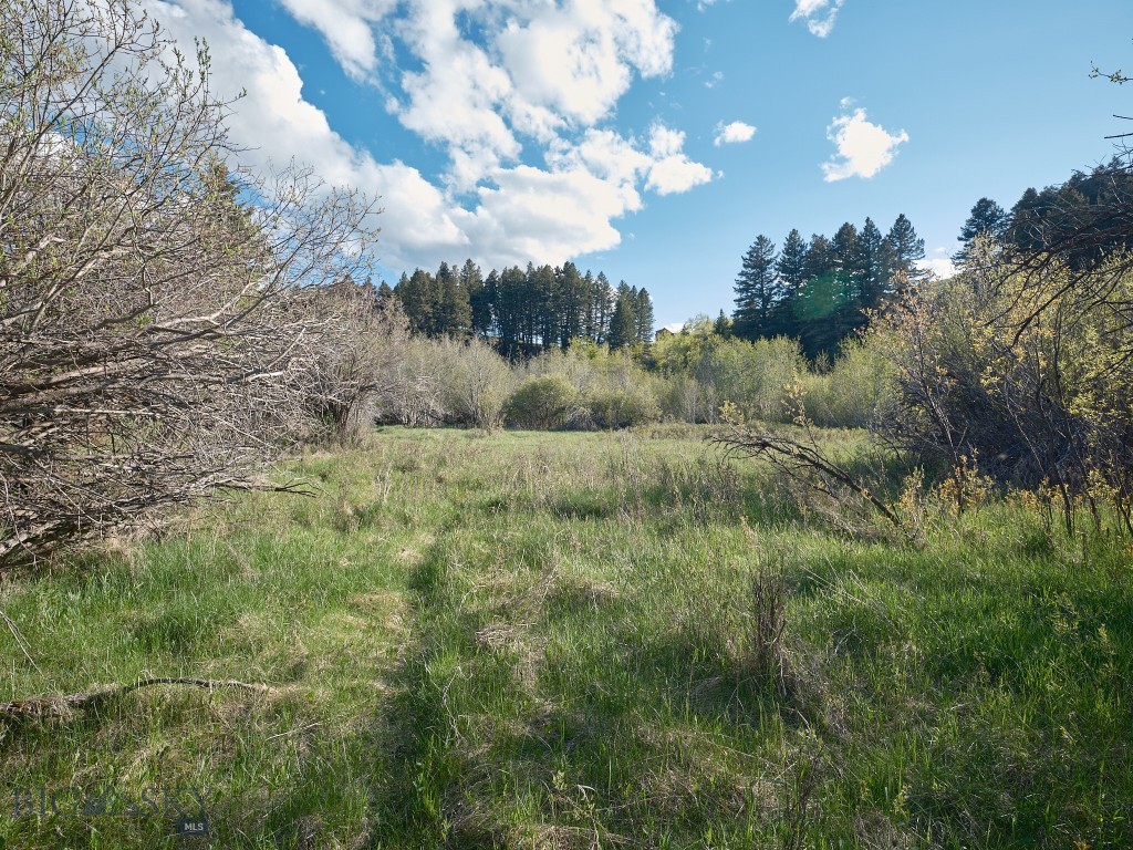 2178 Little Bear Road Property Photo 17