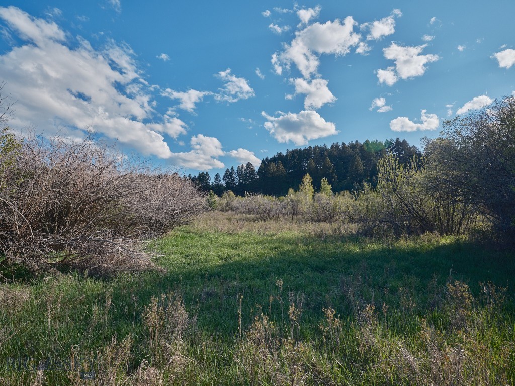2178 Little Bear Road Property Photo 18