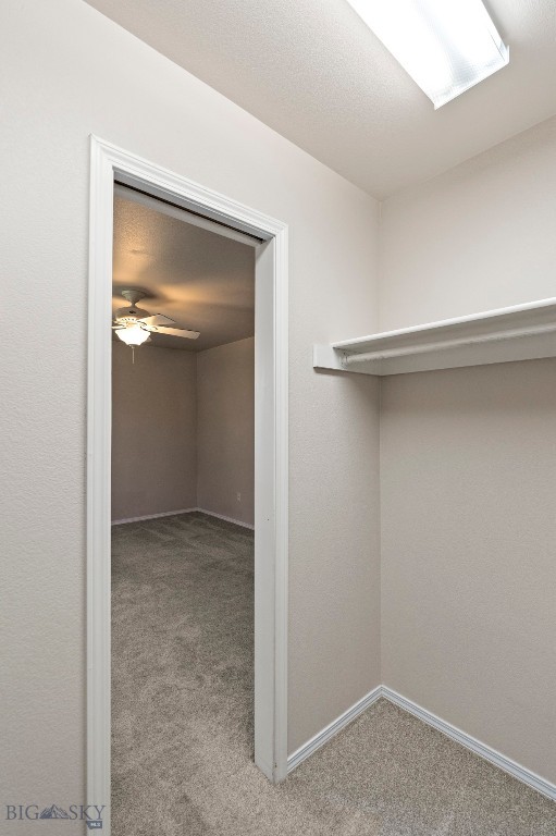 2603 Snapdragon Property Photo 38