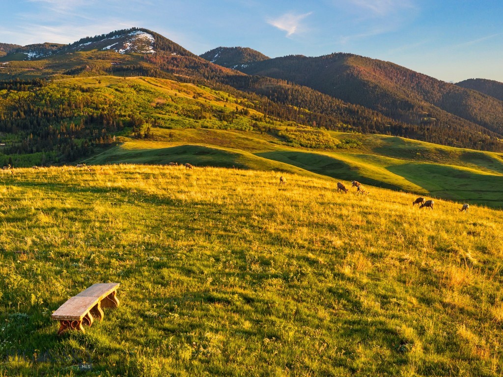 Tbd Summit Drive Property Photo 2