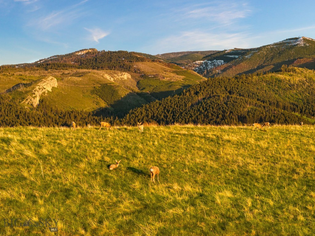 Tbd Summit Drive Property Photo 4