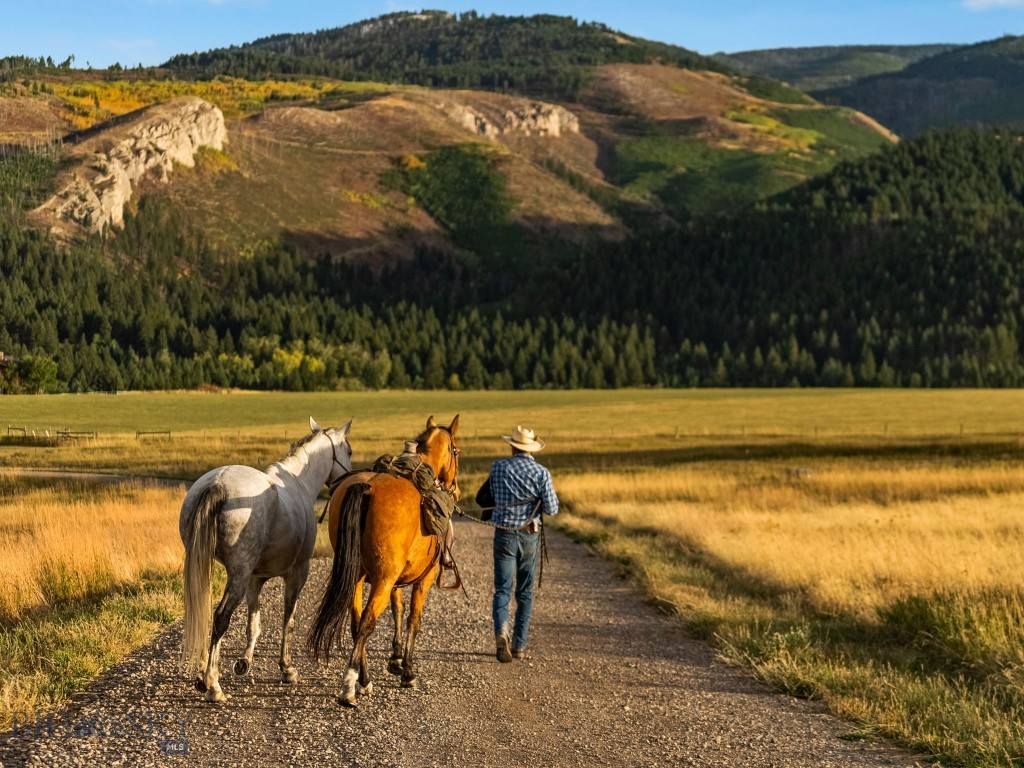 Tbd Summit Drive Property Photo 8