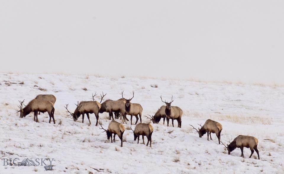 Tbd Summit Drive Property Photo 17