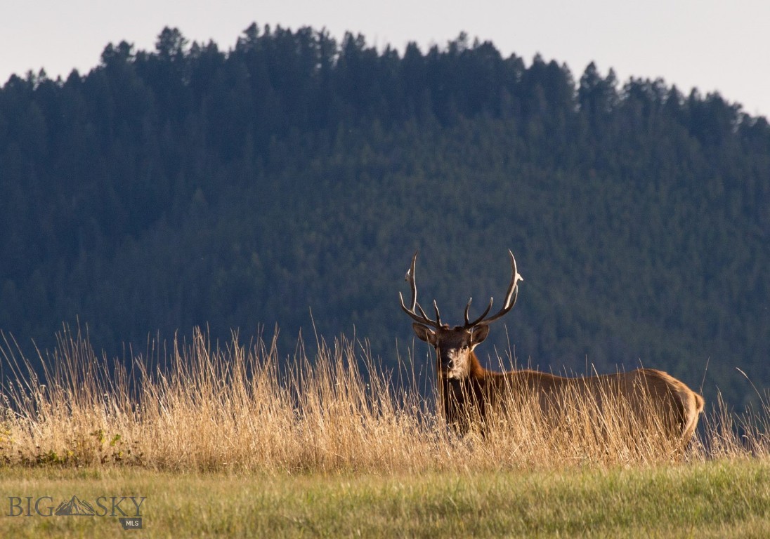 Tbd Summit Drive Property Photo 18