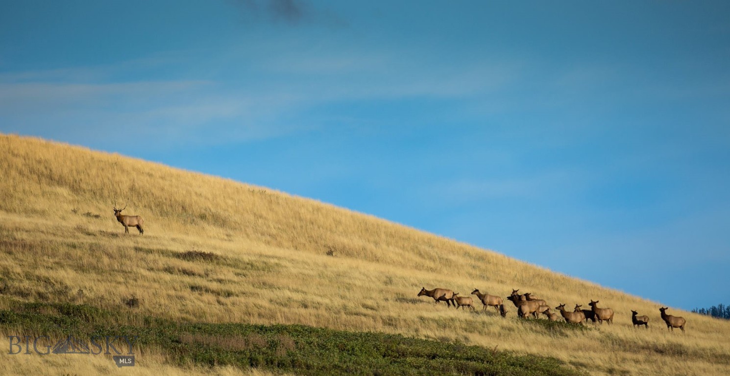 Tbd Summit Drive Property Photo 19