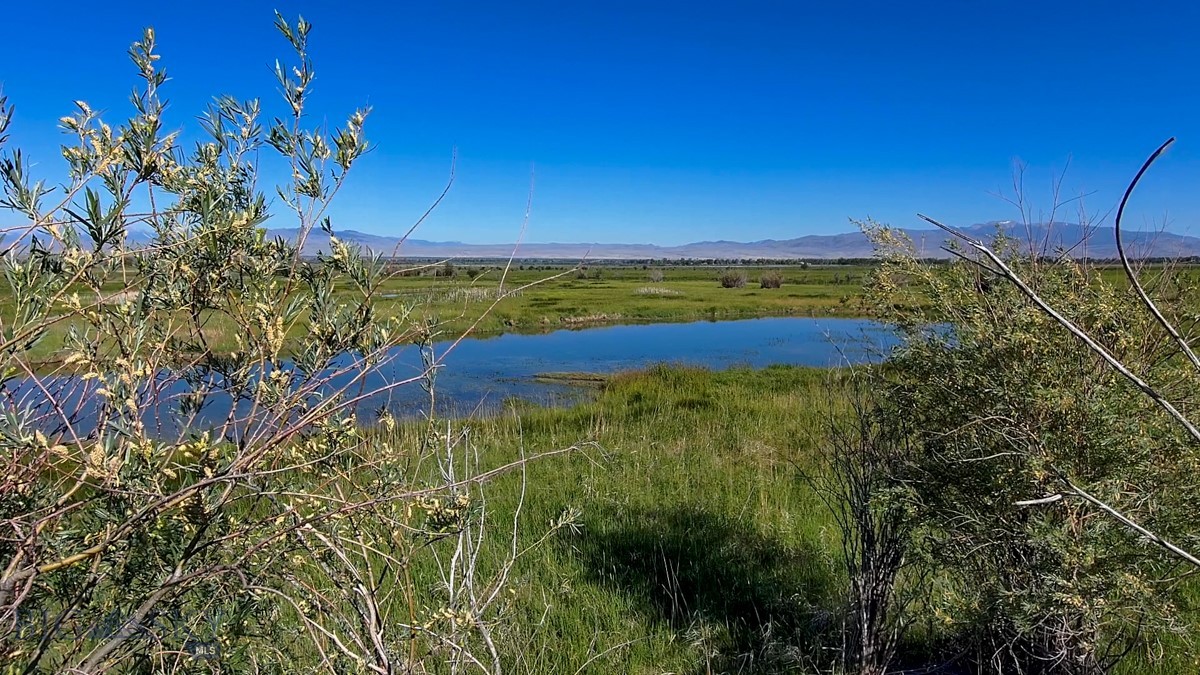 Tbd Carey Lane Property Photo 38