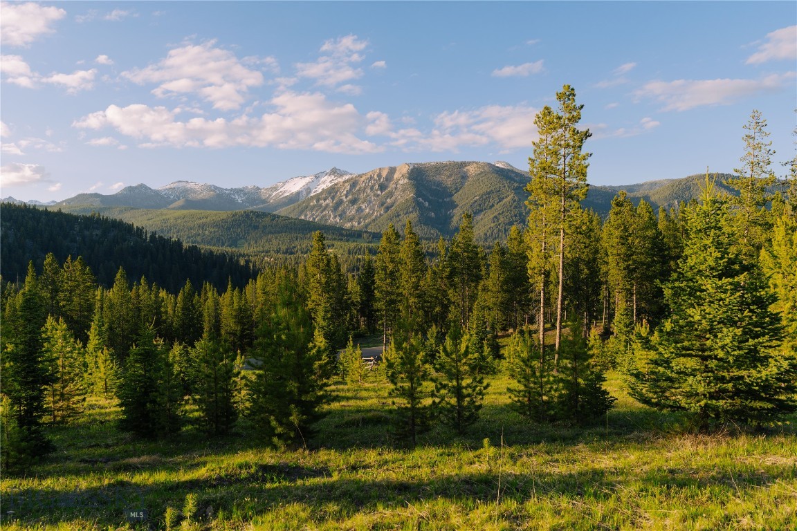 Lot 205 Outlook Trail Property Photo 2