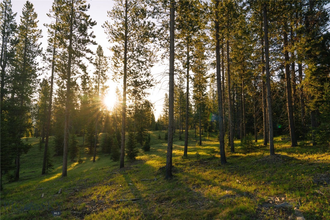 Lot 205 Outlook Trail Property Photo 5
