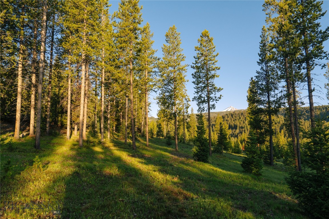 Lot 205 Outlook Trail Property Photo 6